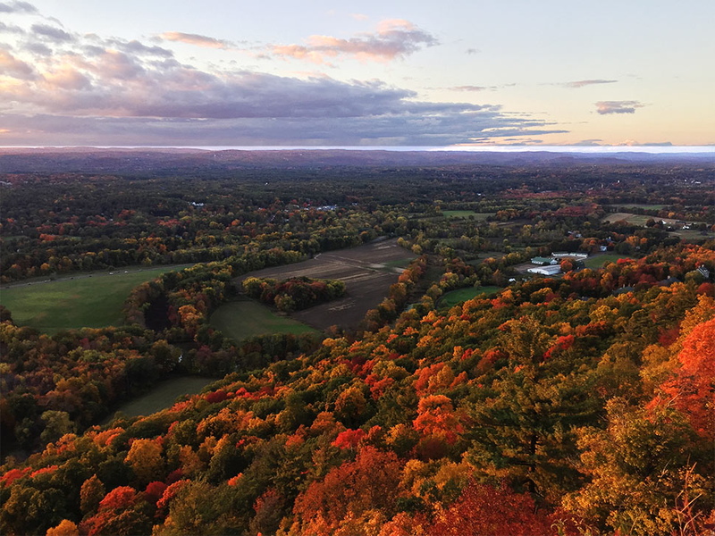 Illustration for article titled 48 Photos Of Autumn Around The World